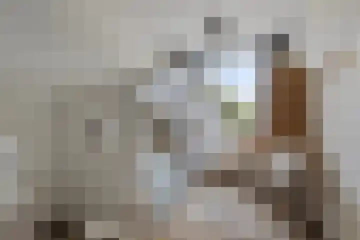 Parelmoervlinder 33 Enschede thumbnail 27