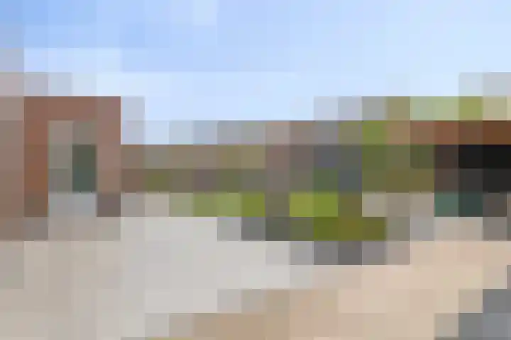 Parelmoervlinder 33 Enschede thumbnail 30