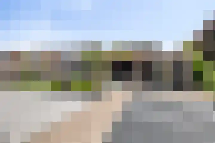 Parelmoervlinder 33 Enschede thumbnail 31