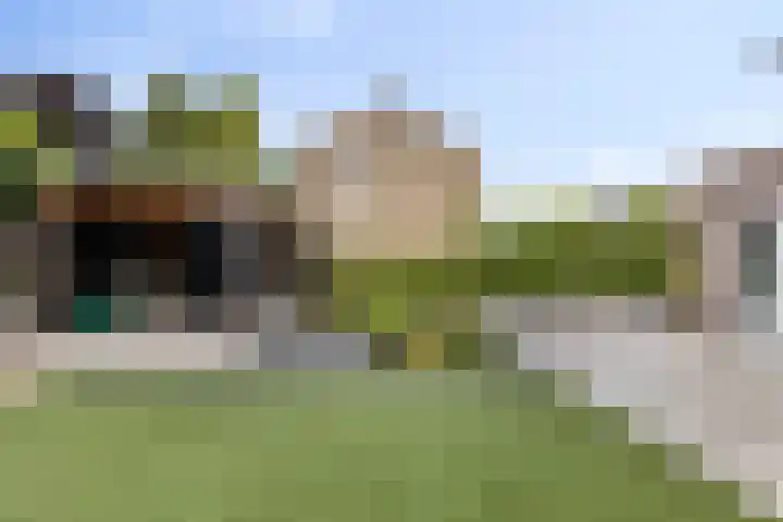 Parelmoervlinder 33 Enschede thumbnail 32