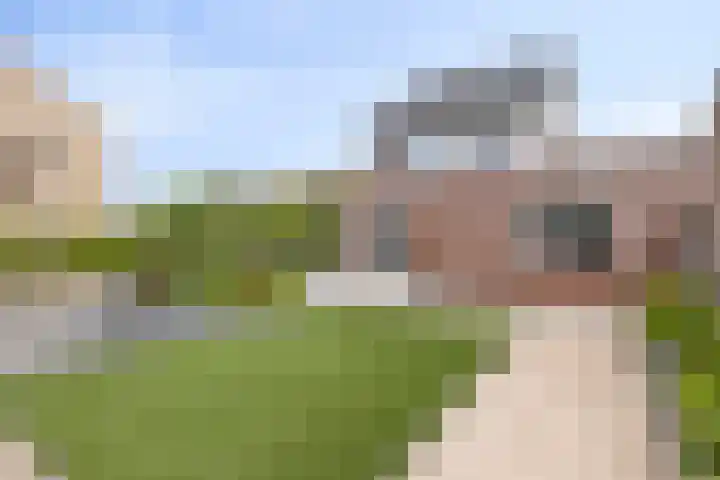 Parelmoervlinder 33 Enschede thumbnail 33