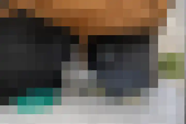 Parelmoervlinder 33 Enschede thumbnail 34