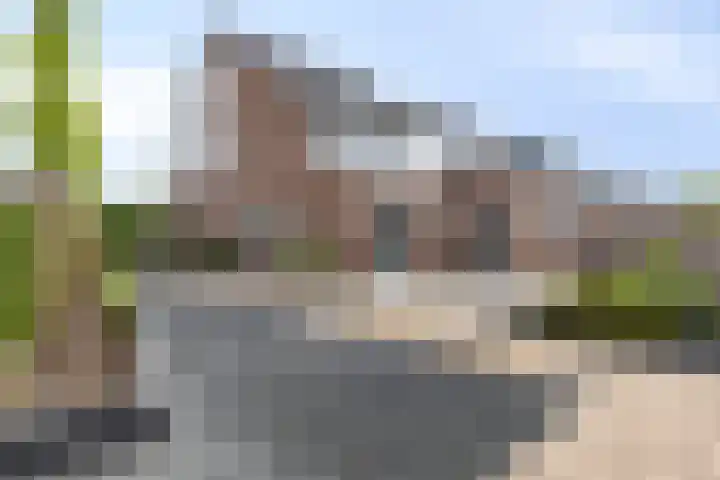 Parelmoervlinder 33 Enschede thumbnail 35