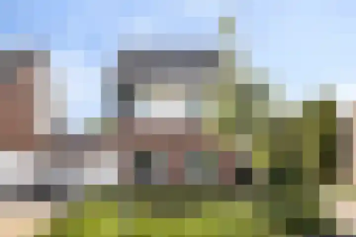 Parelmoervlinder 33 Enschede thumbnail 37