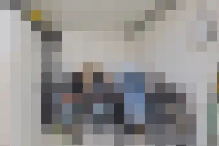 Parelmoervlinder 33 Enschede thumbnail 38