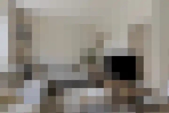 Parelmoervlinder 33 Enschede thumbnail 4