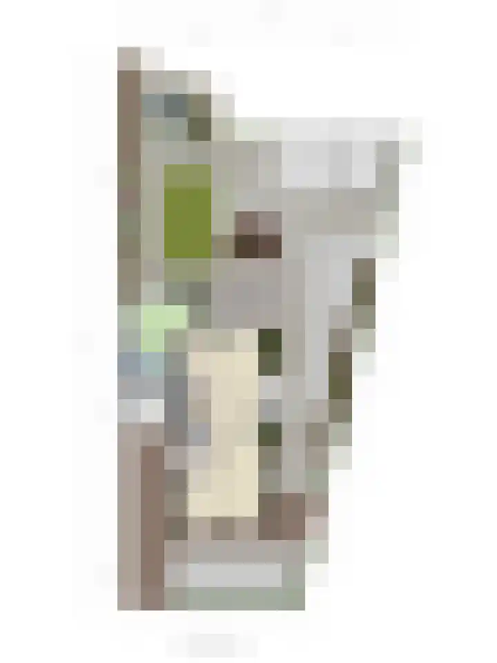 Parelmoervlinder 33 Enschede thumbnail 43