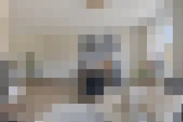 Parelmoervlinder 33 Enschede thumbnail 5