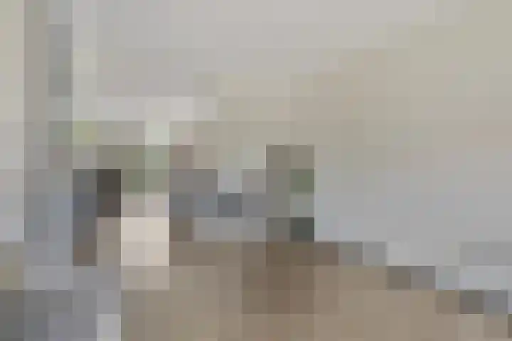 Parelmoervlinder 33 Enschede thumbnail 6