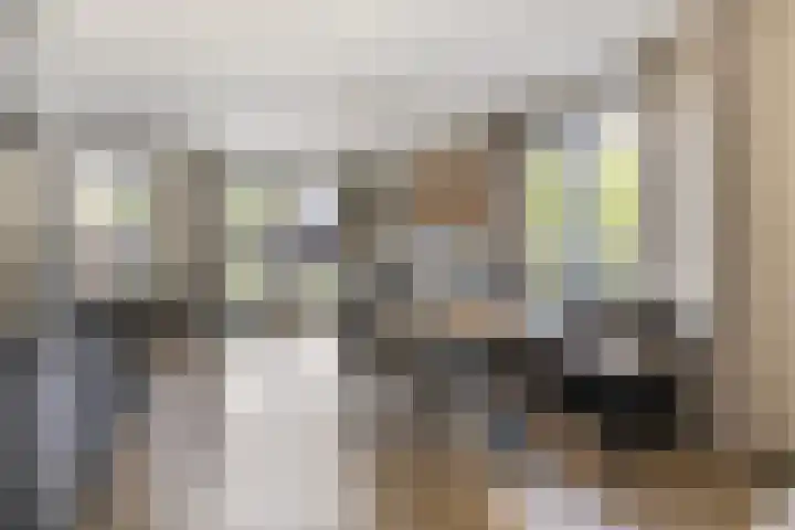 Parelmoervlinder 33 Enschede thumbnail 8