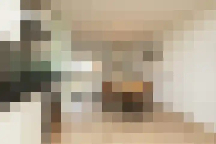Parelmoervlinder 7 Sneek thumbnail 10