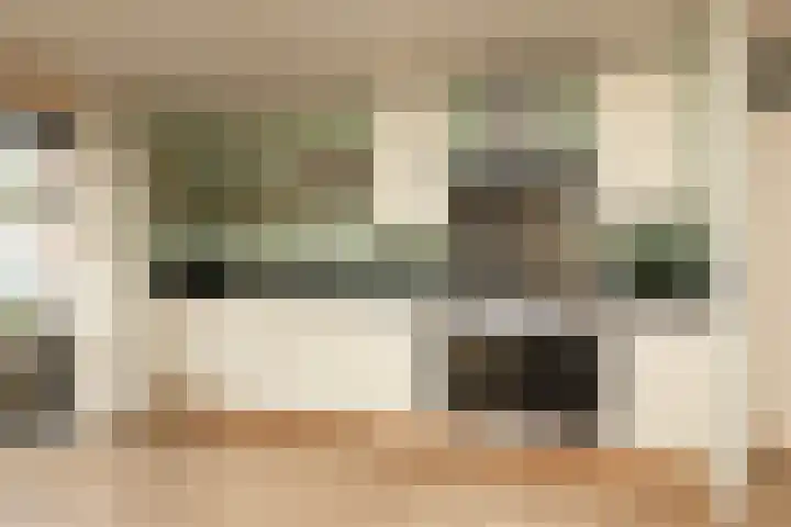 Parelmoervlinder 7 Sneek thumbnail 11
