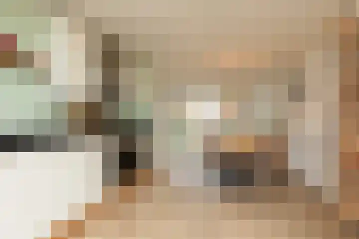 Parelmoervlinder 7 Sneek thumbnail 12