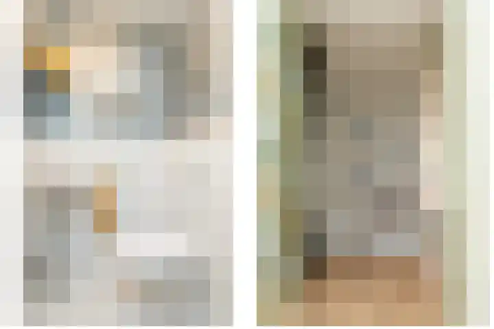Parelmoervlinder 7 Sneek thumbnail 16