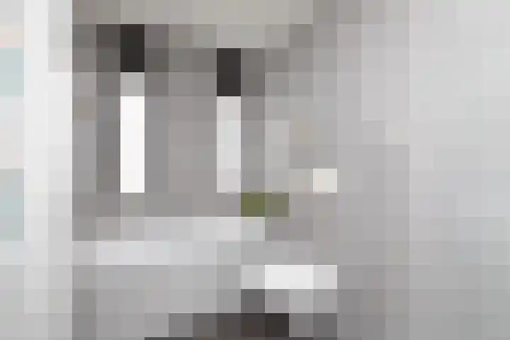 Parelmoervlinder 7 Sneek thumbnail 21