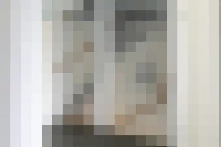 Parelmoervlinder 7 Sneek thumbnail 26
