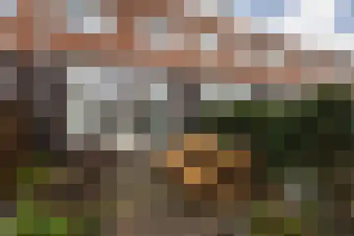 Parelmoervlinder 7 Sneek thumbnail 32