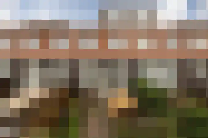 Parelmoervlinder 7 Sneek thumbnail 34