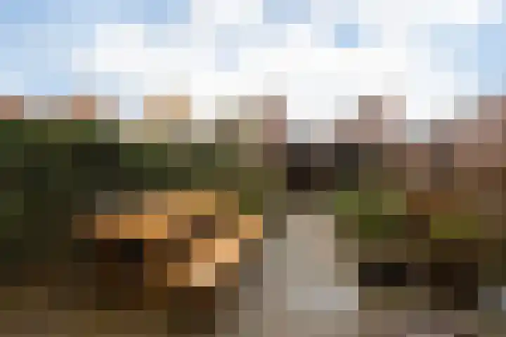 Parelmoervlinder 7 Sneek thumbnail 35