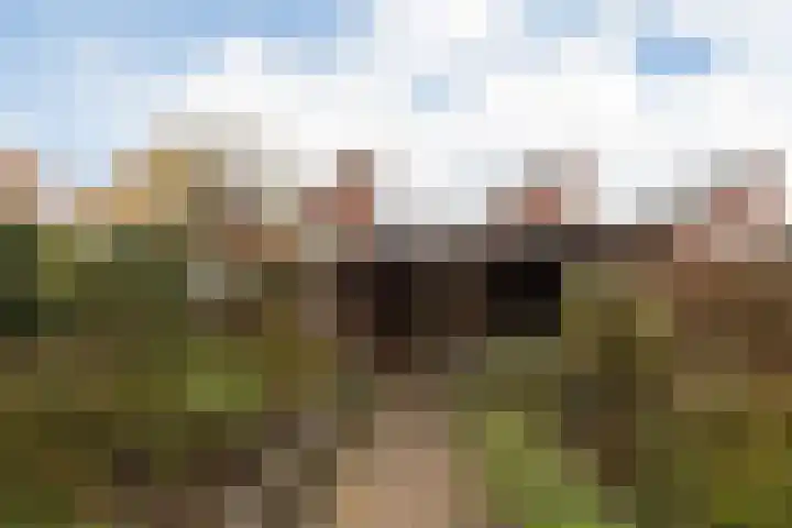 Parelmoervlinder 7 Sneek thumbnail 36
