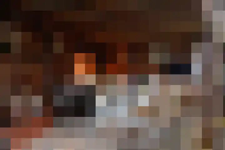Parelmoervlinder 7 Sneek thumbnail 37