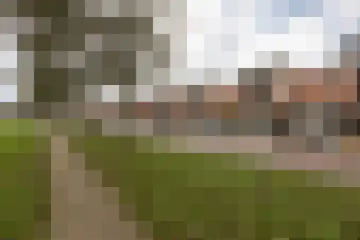 Parelmoervlinder 7 Sneek thumbnail 38