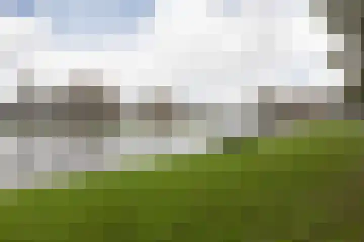 Parelmoervlinder 7 Sneek thumbnail 39