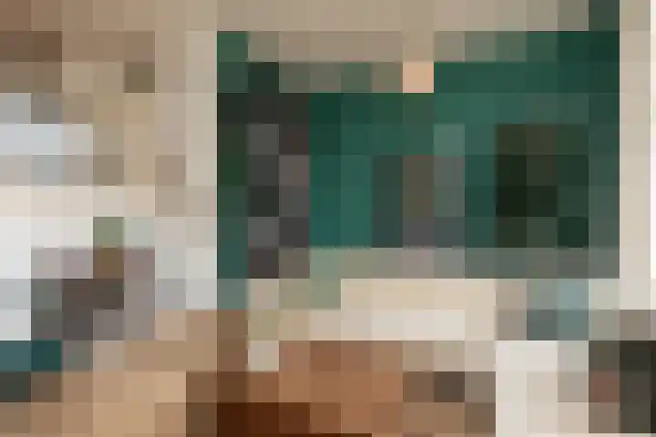 Parelmoervlinder 7 Sneek thumbnail 4