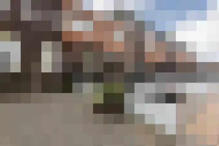 Parelmoervlinder 7 Sneek thumbnail 40
