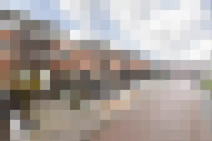 Parelmoervlinder 7 Sneek thumbnail 41