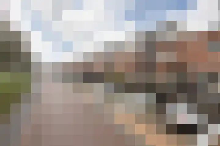 Parelmoervlinder 7 Sneek thumbnail 42
