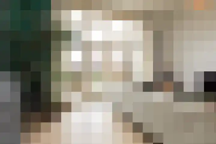 Parelmoervlinder 7 Sneek thumbnail 6
