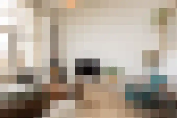 Parelmoervlinder 7 Sneek thumbnail 8