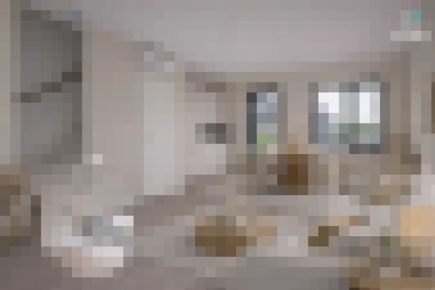Parelmoervlinder 92 Enschede thumbnail 12