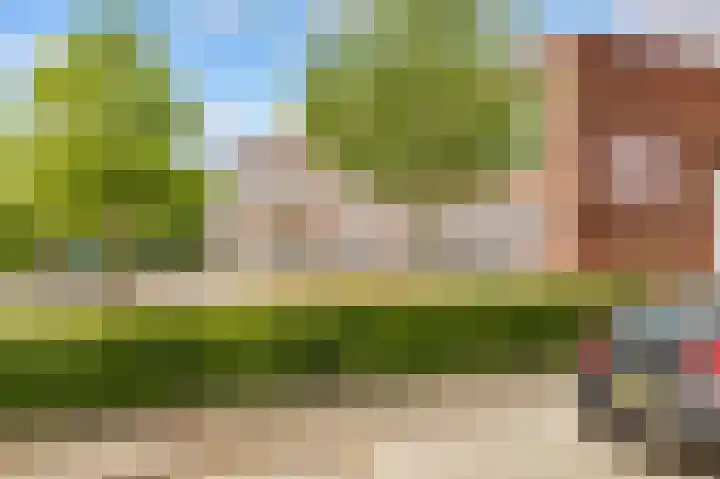Parelmoervlinder 92 Enschede thumbnail 13