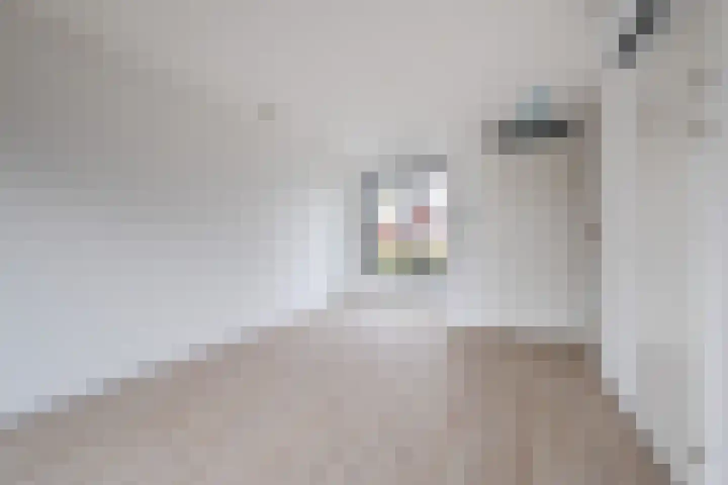 Parelmoervlinder 92 Enschede thumbnail 14