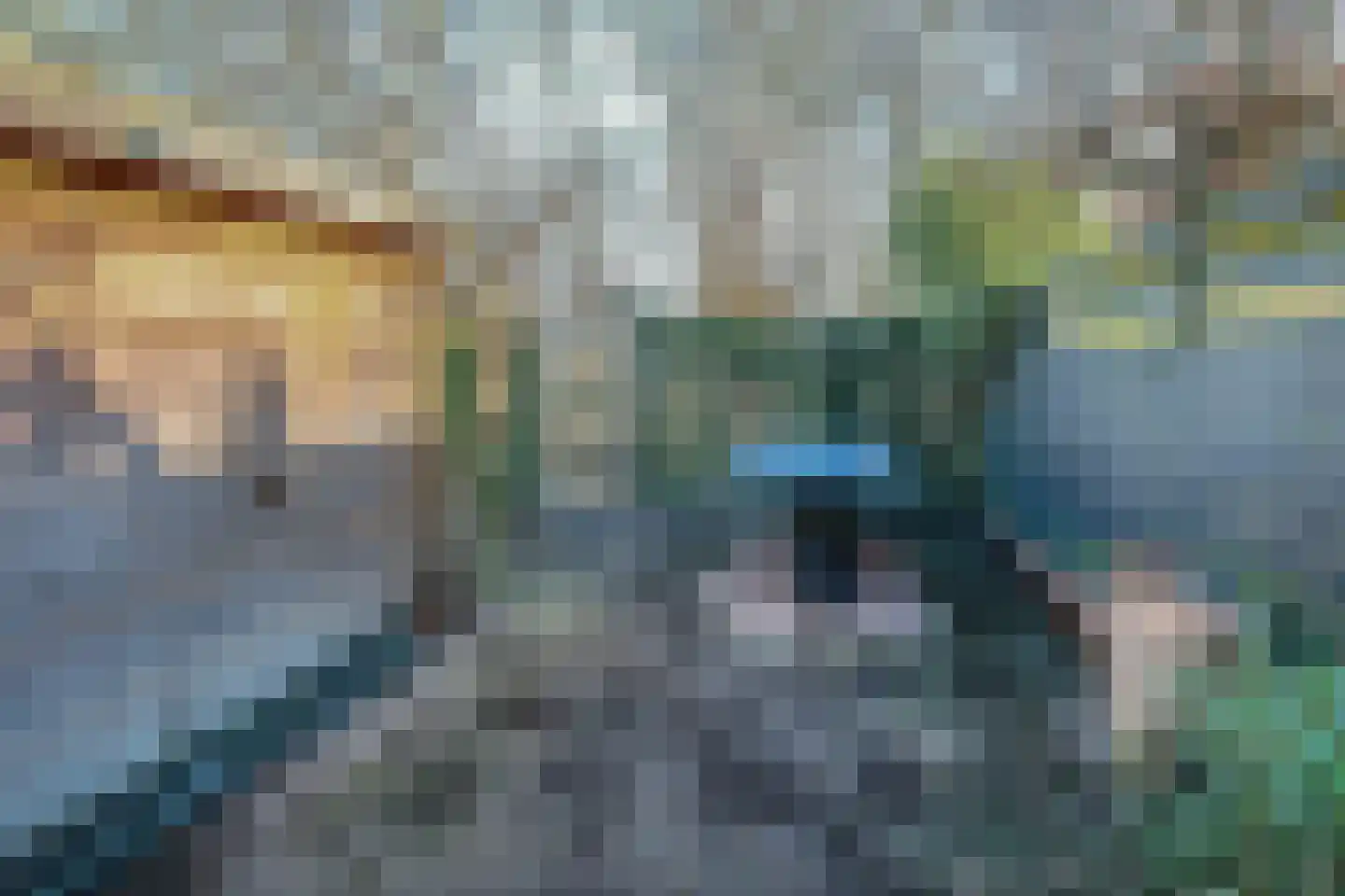 Parelmoervlinder 92 Enschede thumbnail 24