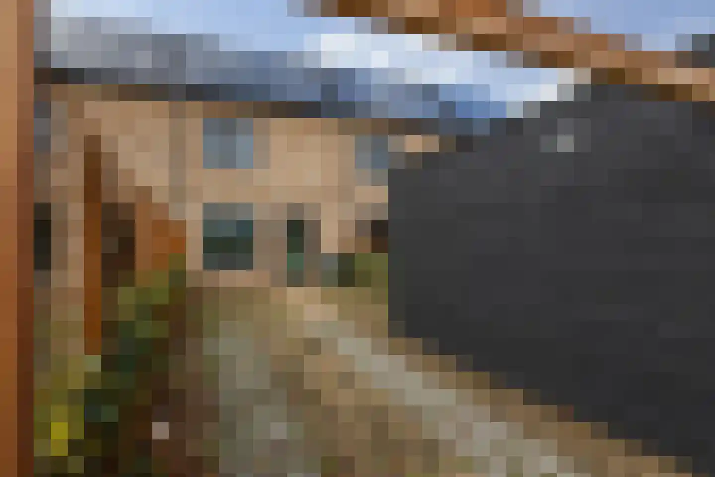 Parelmoervlinder 92 Enschede thumbnail 28