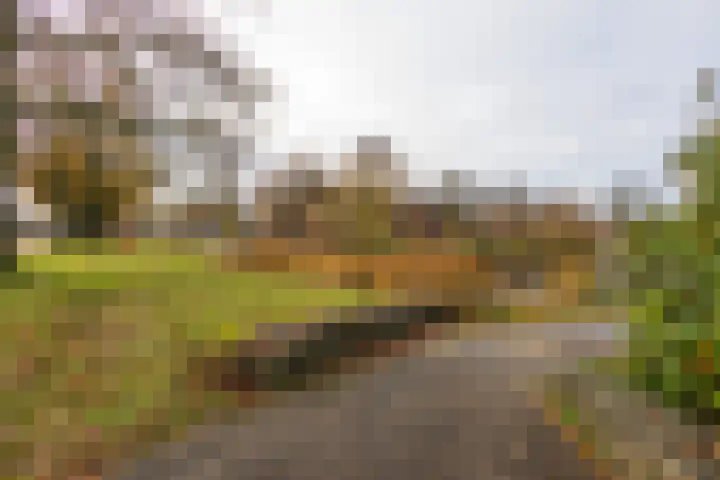 Parelmoervlinder 92 Enschede thumbnail 33