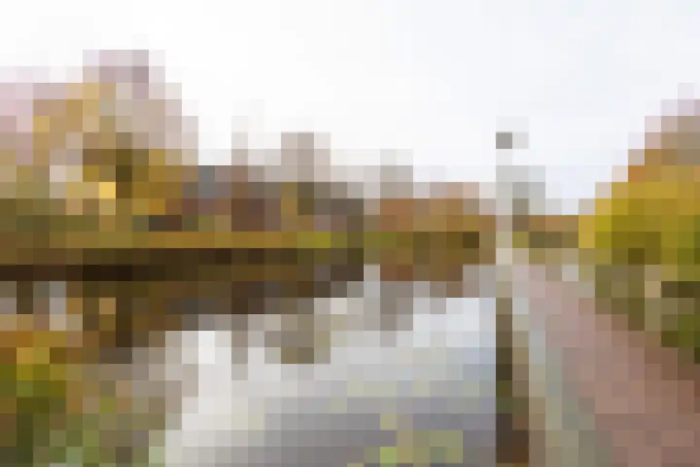Parelmoervlinder 92 Enschede thumbnail 34