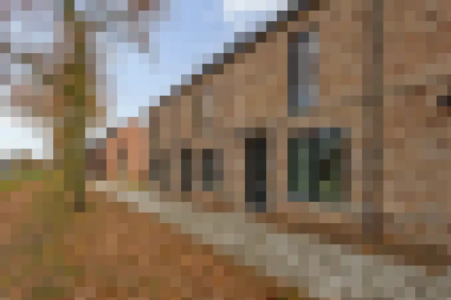 Parelmoervlinder 92 Enschede thumbnail 4