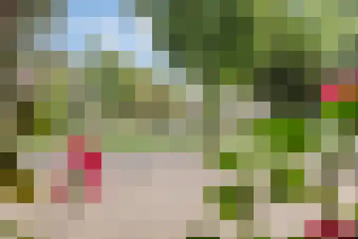 Park 65 Nuenen thumbnail 12