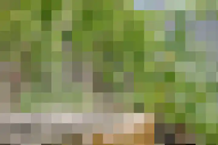 Park 65 Nuenen thumbnail 31