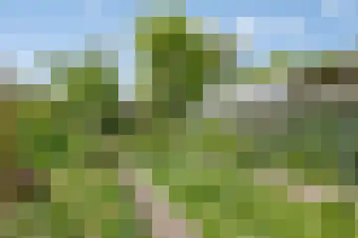Park 65 Nuenen thumbnail 33