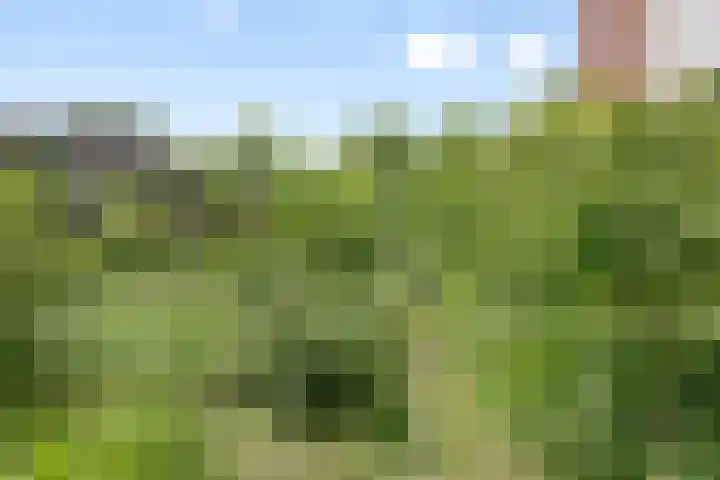 Park 65 Nuenen thumbnail 36