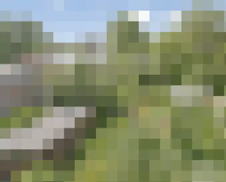 Park 65 Nuenen thumbnail 37