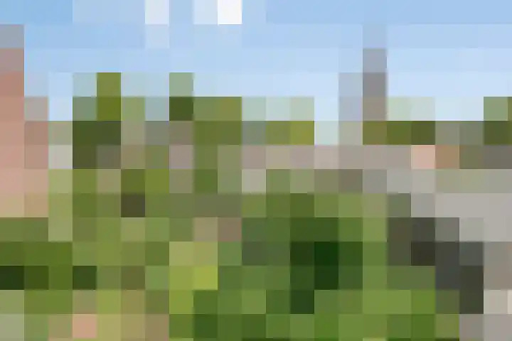 Park 65 Nuenen thumbnail 38