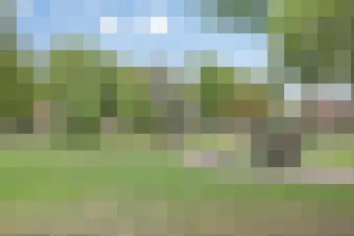 Park 65 Nuenen thumbnail 41