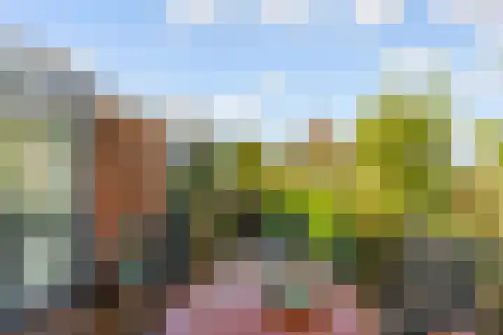 Park Arenberg 79 De Bilt thumbnail 20
