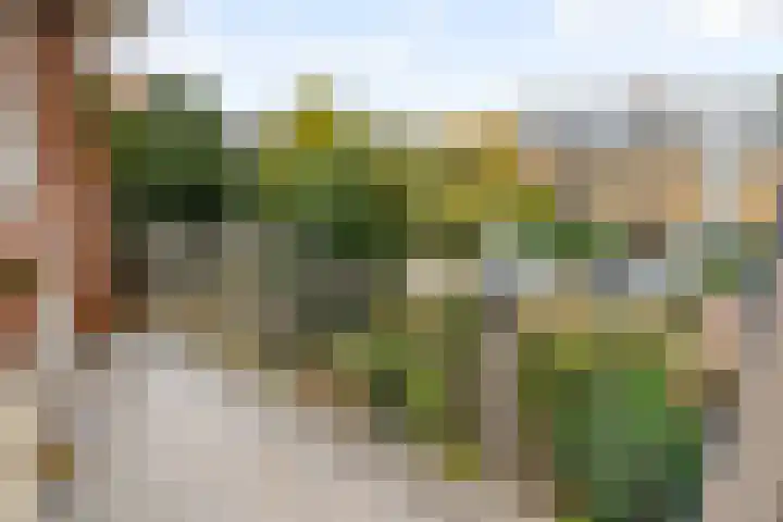 Park Arenberg 79 De Bilt thumbnail 40